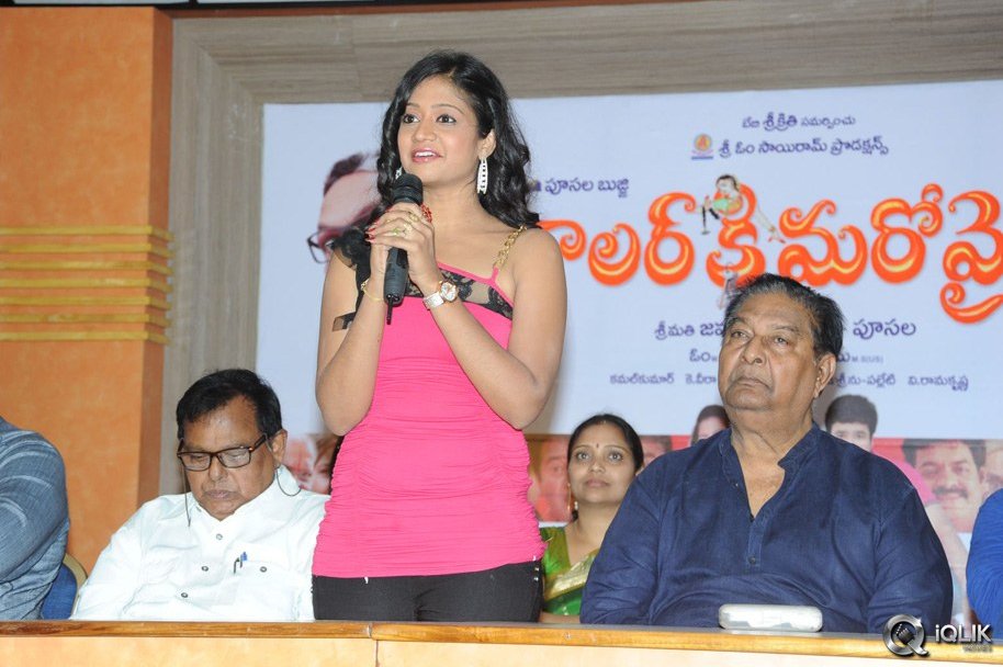 Dollar-Ki-Maro-Vaipu-Movie-First-Look-Launch